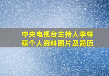 中央电视台主持人李梓萌个人资料图片及简历