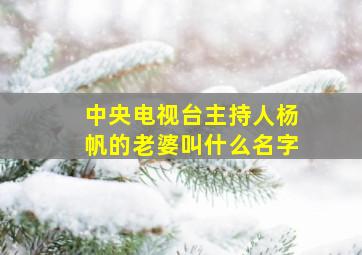 中央电视台主持人杨帆的老婆叫什么名字