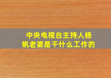 中央电视台主持人杨帆老婆是干什么工作的