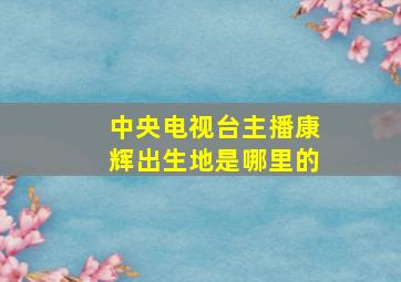 中央电视台主播康辉出生地是哪里的