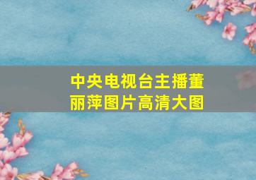 中央电视台主播董丽萍图片高清大图