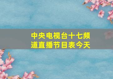 中央电视台十七频道直播节目表今天