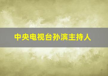 中央电视台孙滨主持人