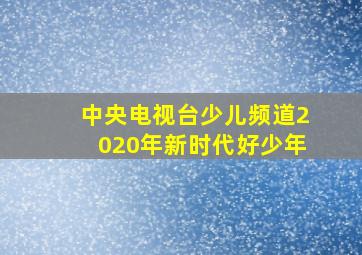 中央电视台少儿频道2020年新时代好少年