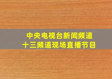 中央电视台新闻频道十三频道现场直播节目