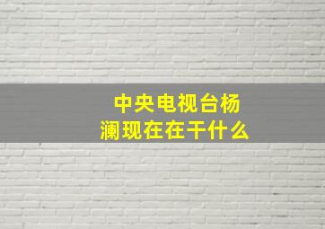 中央电视台杨澜现在在干什么