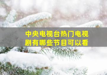 中央电视台热门电视剧有哪些节目可以看