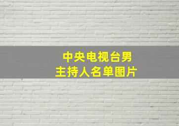 中央电视台男主持人名单图片