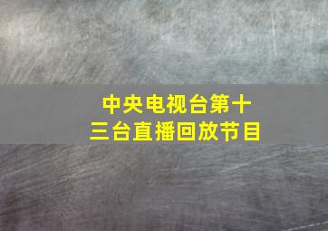 中央电视台第十三台直播回放节目