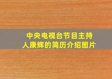 中央电视台节目主持人康辉的简历介绍图片