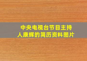 中央电视台节目主持人康辉的简历资料图片