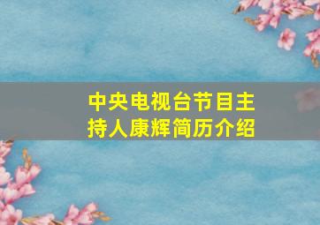 中央电视台节目主持人康辉简历介绍