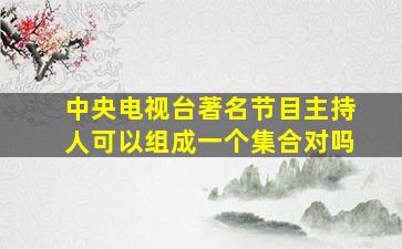 中央电视台著名节目主持人可以组成一个集合对吗