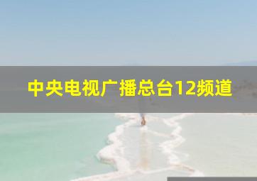 中央电视广播总台12频道