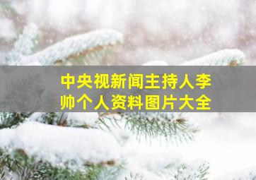 中央视新闻主持人李帅个人资料图片大全