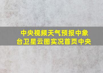 中央视频天气预报中象台卫星云图实况首页中央