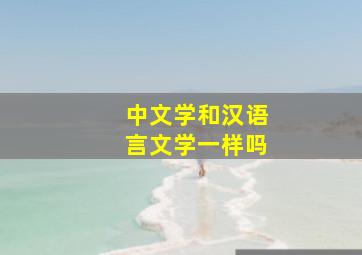 中文学和汉语言文学一样吗