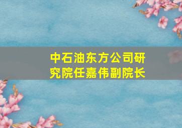 中石油东方公司研究院任嘉伟副院长