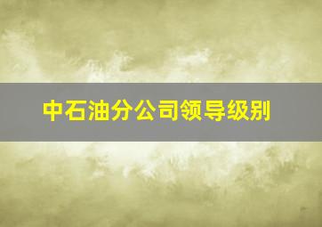 中石油分公司领导级别