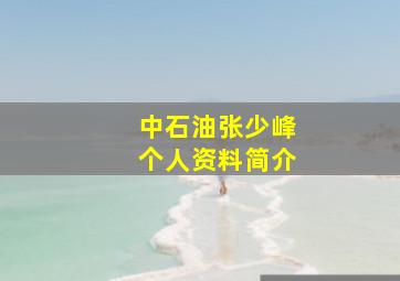 中石油张少峰个人资料简介