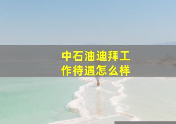 中石油迪拜工作待遇怎么样