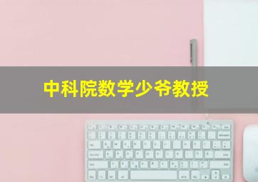 中科院数学少爷教授