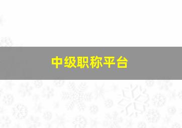 中级职称平台