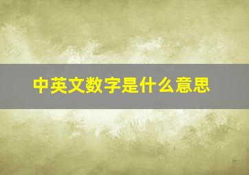 中英文数字是什么意思