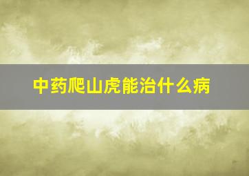 中药爬山虎能治什么病