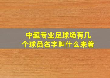 中超专业足球场有几个球员名字叫什么来着