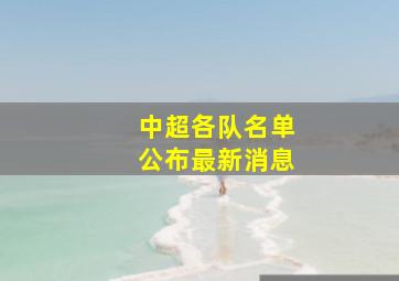 中超各队名单公布最新消息