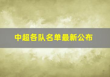 中超各队名单最新公布