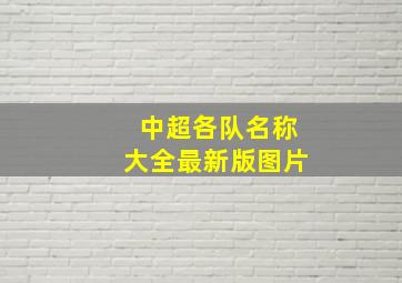 中超各队名称大全最新版图片