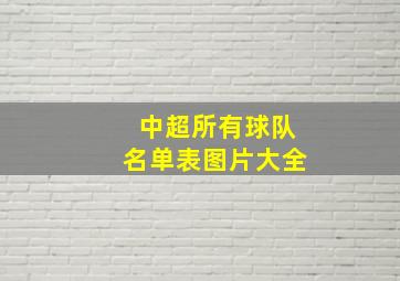 中超所有球队名单表图片大全