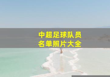 中超足球队员名单照片大全