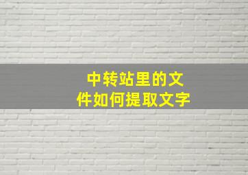 中转站里的文件如何提取文字