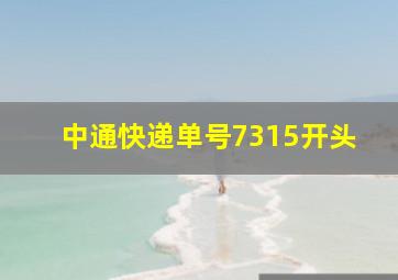 中通快递单号7315开头