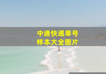 中通快递单号样本大全图片