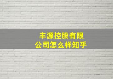 丰源控股有限公司怎么样知乎