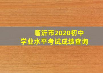 临沂市2020初中学业水平考试成绩查询