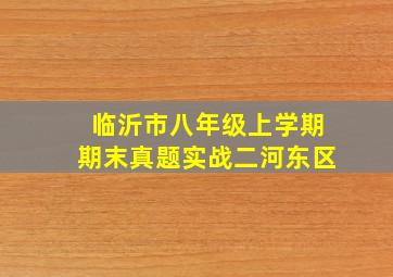 临沂市八年级上学期期末真题实战二河东区