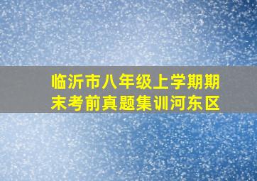 临沂市八年级上学期期末考前真题集训河东区