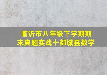 临沂市八年级下学期期末真题实战十郯城县数学