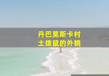 丹巴莫斯卡村土拨鼠的外貌