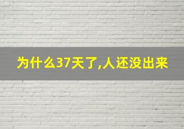 为什么37天了,人还没出来