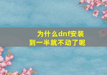 为什么dnf安装到一半就不动了呢