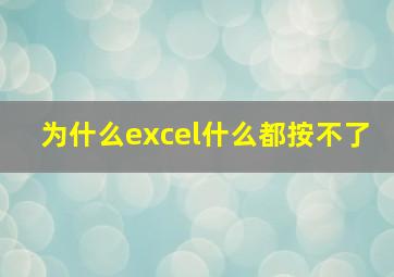 为什么excel什么都按不了