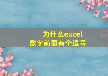 为什么excel数字前面有个逗号