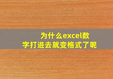 为什么excel数字打进去就变格式了呢