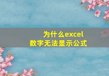 为什么excel数字无法显示公式